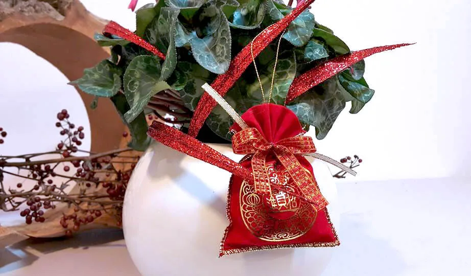 新年花禮20-仙客來：圖片 4