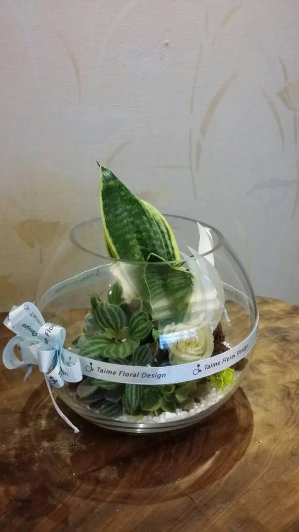 盆栽組合08-多肉植物組合