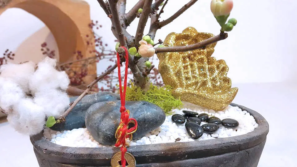 新年花禮04-長壽梅：圖片 5