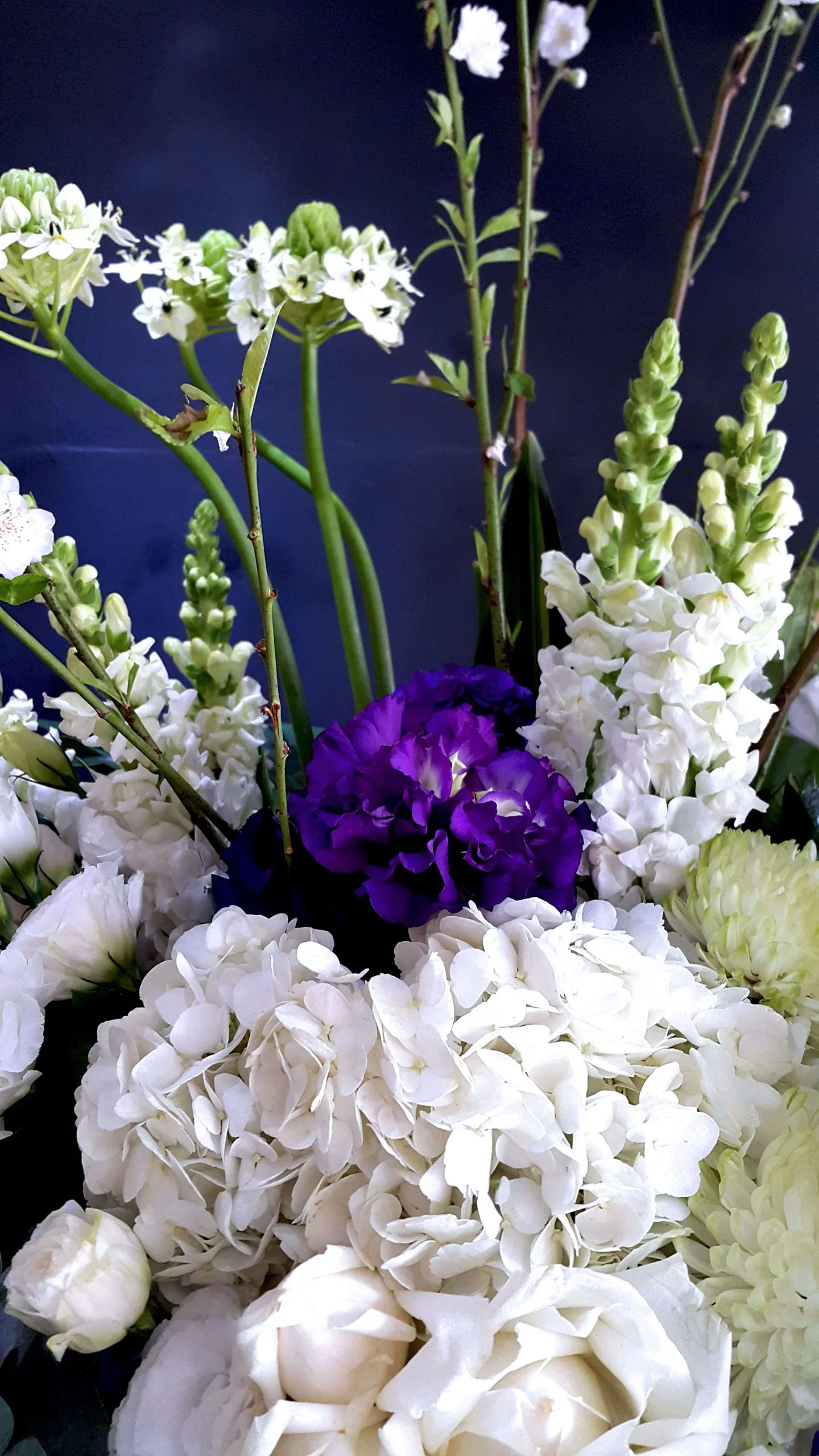 高架花籃 04：圖片 7