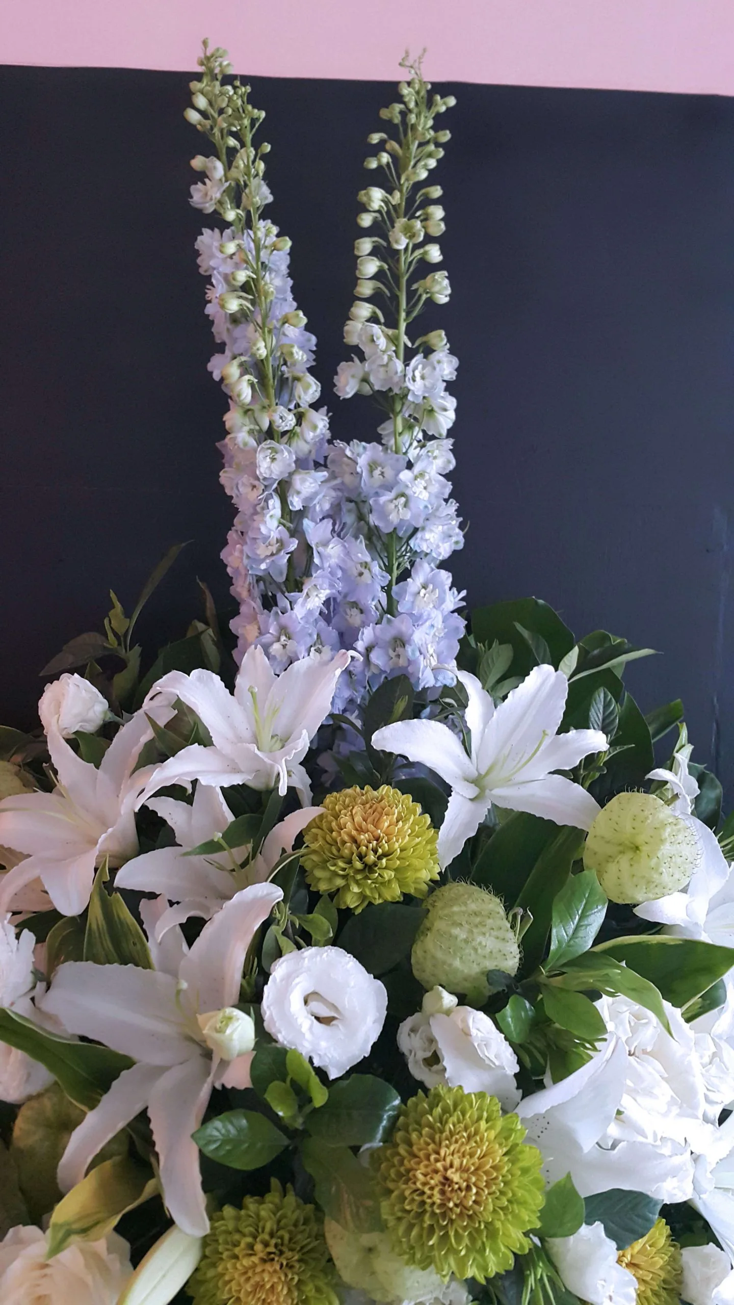 高雅經典 08：圖片 5