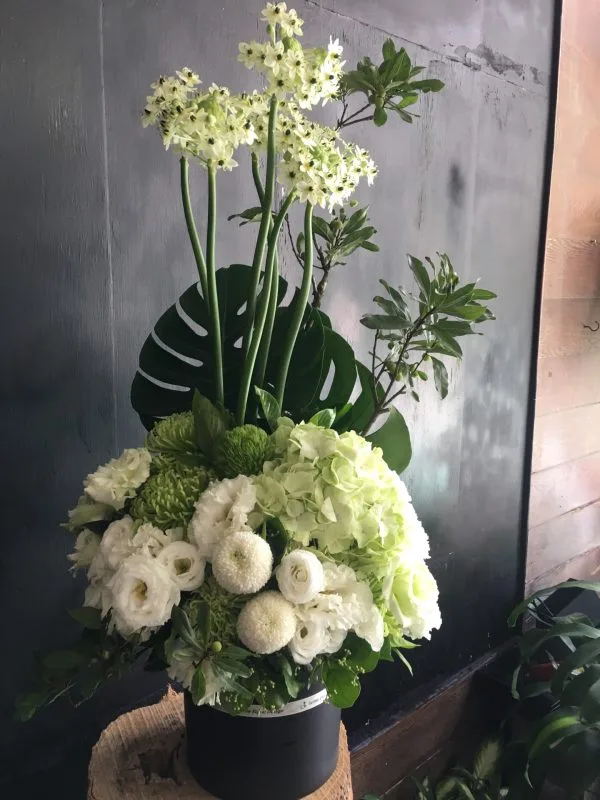 盆花53