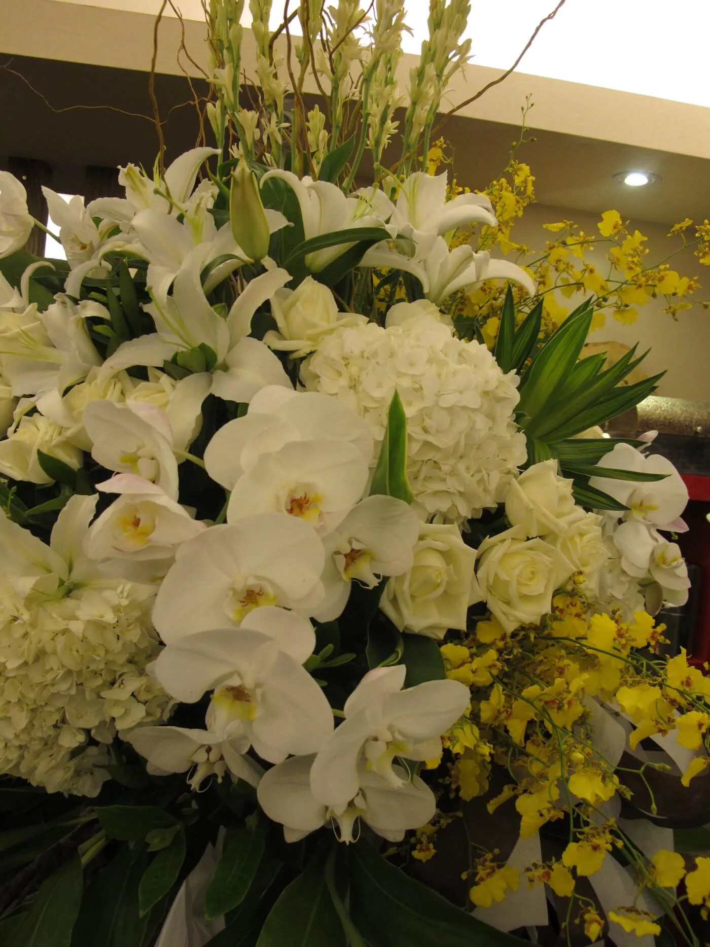 高雅經典 05：圖片 2