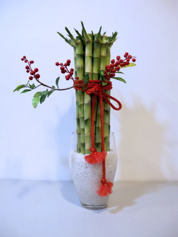 盆栽組合10-幸運竹