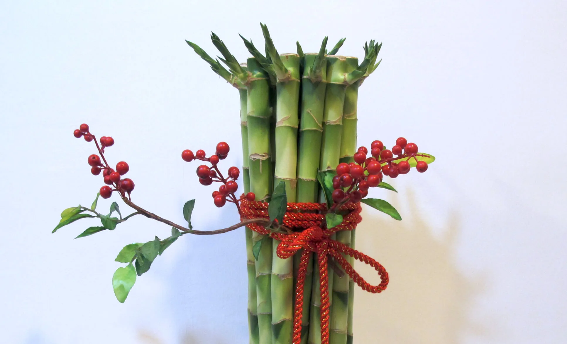 盆栽組合10-幸運竹：圖片 2