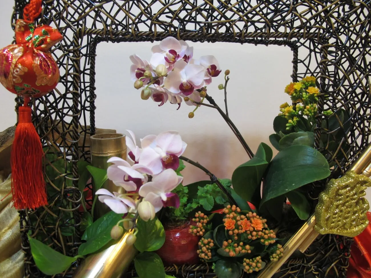 新年花禮16-蘭花盆栽：圖片 2