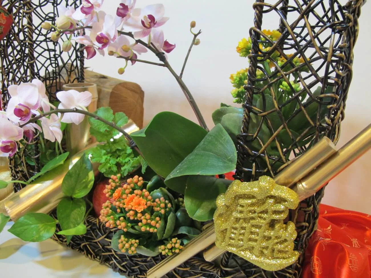 新年花禮16-蘭花盆栽：圖片 3