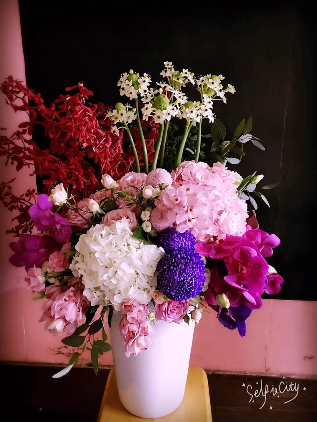 盆花39