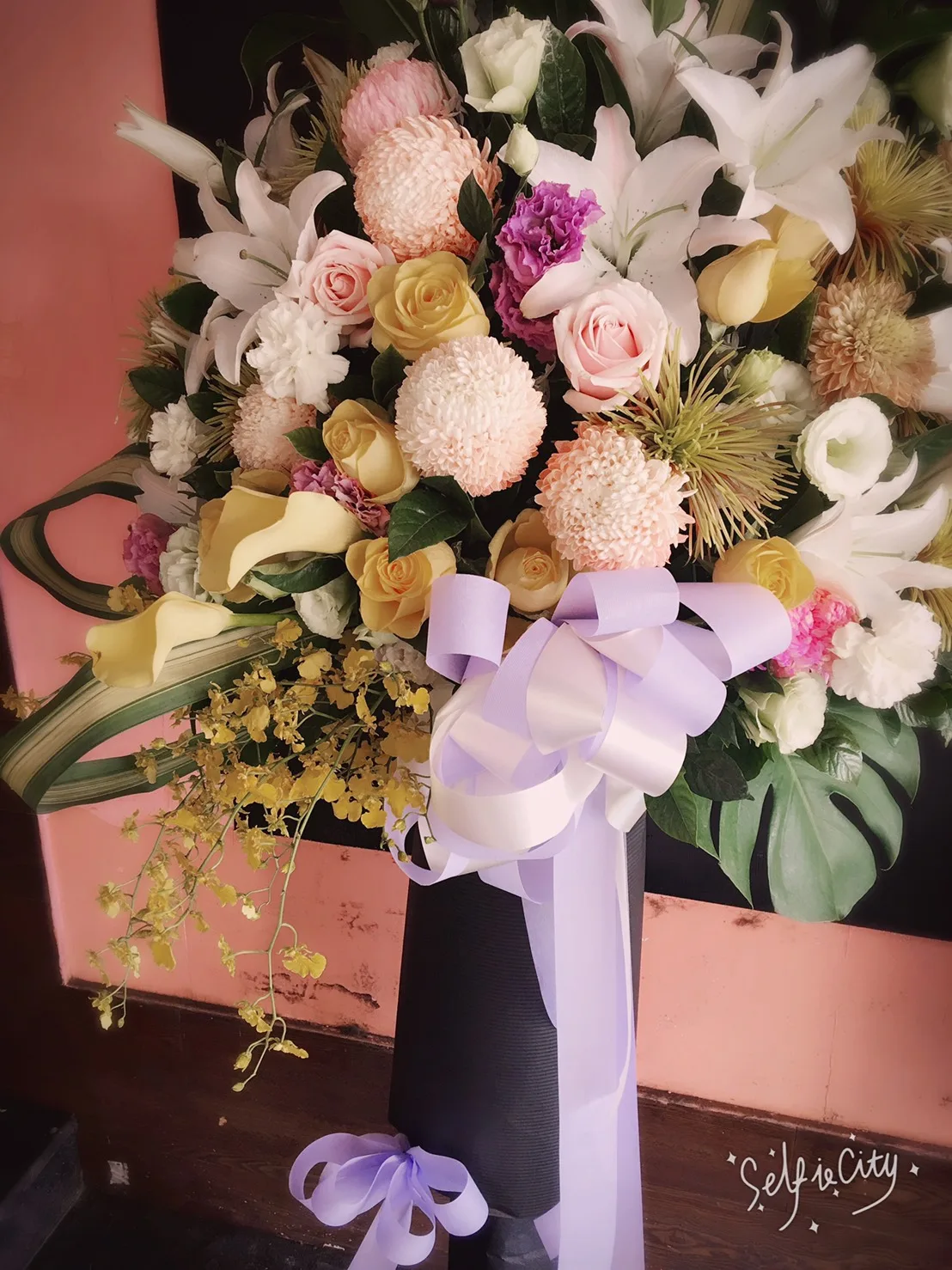 高架花籃 24：圖片 2