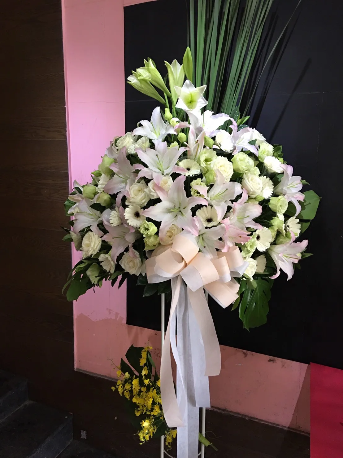 高雅經典 12：圖片 2