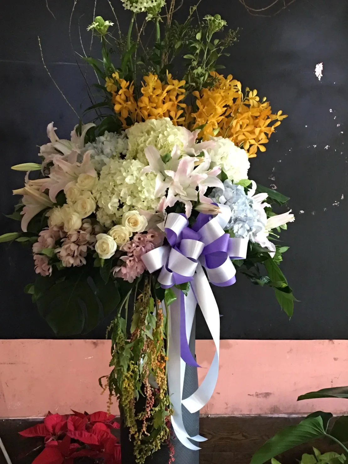 高雅經典 13：圖片 2