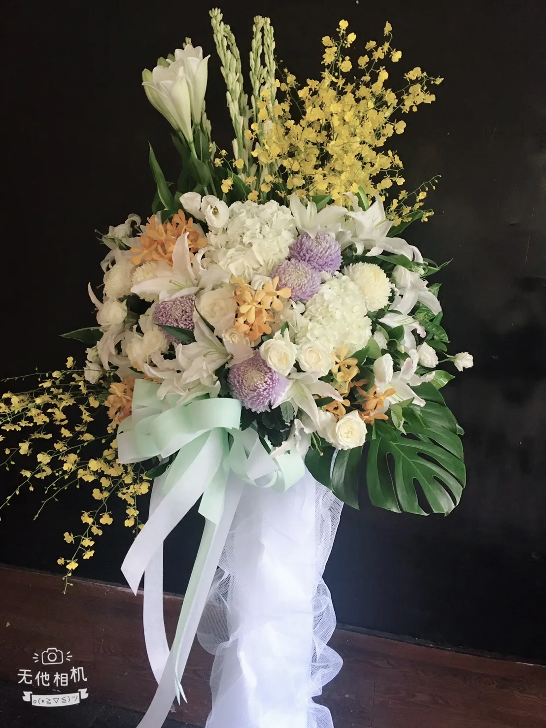 高雅經典 16：圖片 2