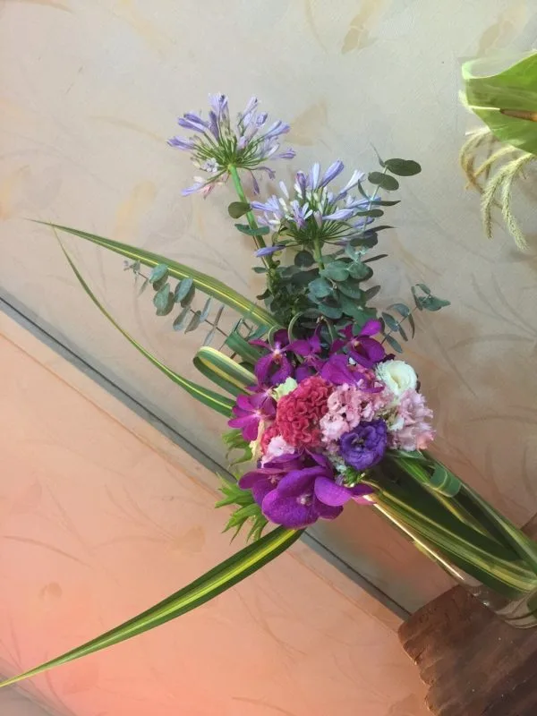 盆花36：圖片 2