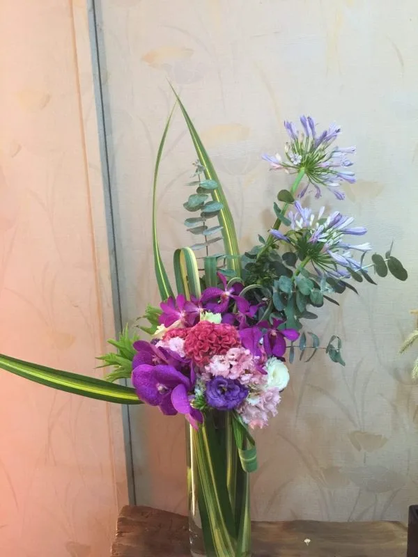 盆花36